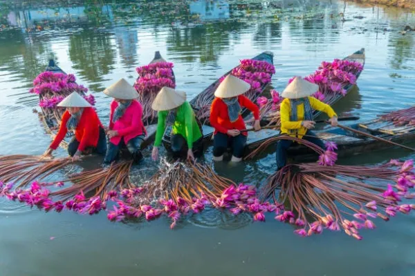 Glowcation Vietnam Glowcation Vietnam